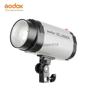 Flash Heads Godox 250DI 250Ws Mini Master Photo Studio Flash Monolight Strobe light YQ231003