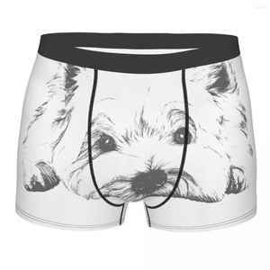 Underbyxor män söt mini Yorkshire terrier underkläder hund sexig boxare trosor shorts trosor homme mjuk s-xxl