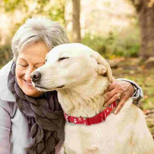 Collari per cani Adorabili collari per animali domestici Cani Decorazioni per cartoni animati Cuccioli grandi Cuccioli piccoli Vacanza confortevole