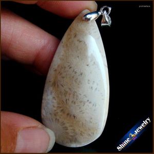 Pendant Necklaces Trendy Pendants 24x49x10mm Natural Stone Coral Drop Beads Slide Jewelry For Women FS679