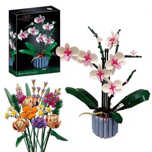 Forniture per giocattoli di Natale Moc Bouquet Orchidea blocco fiore Piante grasse Blocchi di costruzione in vaso ADATTI per 10311 Kit romantico Assemblaggio Costruzione Giocattolo regalo per ragazza 231005