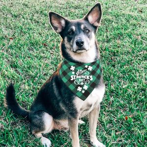 Vestuário para cães Feliz Dia de São Patrício Bandana Lenço para animais de estimação Lavável Triângulo Shamrock Lenços Acessórios para cães Animais de estimação