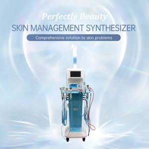 Multifunctional Thirteen-In-One Skin Management Instrument Hot Spray Facial Blackhead Removal for Importing Beauty Salons