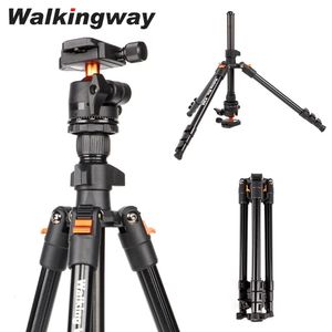 Tripods Walkway 6299inch Kamera Tripod Alüminyum Taşınabilir Seyahat Hafif Kompakt Projektör için Top Kafası ile 231006