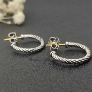 Ohrringe, Versand, Designer-Schmuck, Damen-Ohrring, Mode, Luxus-Bijoux, kostenlose Goldhaken-Ohrringe mit gedrehter Drahtschnalle aus Sterlingsilber, 14 Karat gelb plattiert, IV1Q