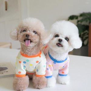 Vestuário para cães outono inverno colorido ponto basecoat t-shirt casa roupas para animais de estimação gato teddy filhote de cachorro roupas