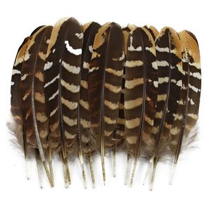 Outras ferramentas manuais 100pcs / lote atacado raro natural águia faisão penas para artesanato frango pássaro pena artesanato jóias decorações artificiais 231005