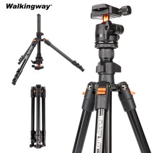 Tripods Walkway 6299 inç Profesyonel Yüksek Kamera Tripod DSLR için Taşınabilir Alüminyum Seyahat 360 Degree Panorama Ball Head 231006