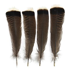 Andra handverktyg 100pcslot Natural Eagle Bird Feather 25-30 cm Big Turkiet Feathers For Decoration Diy Plumes Dream Catcher Handicraft Accessories 231005
