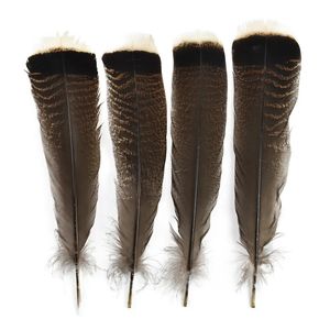 Andere Handwerkzeuge 100 Teile/los Natürliche Adler Vogel Feder 25-30 cm Große Truthahn Federn für Dekoration DIY Plumes Traumfänger Handwerk Zubehör 231005