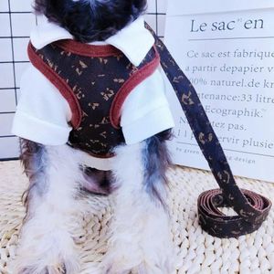 High-End Pet Chest and Back Leashes Leather Pet Dog Leash Collar out Walking Dog Leash Cat Designer Flower Fashion Pets Harnesses