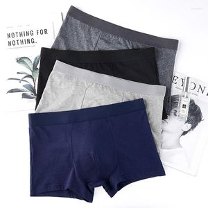 Cuecas masculinas algodão plus tamanho gordo verão canto respirável antibacteriano meados de cintura meninos boxer shorts