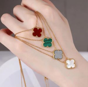 Collane con ciondolo stilista per donna Elegante collana con medaglione a quadrifoglio Gioielli di alta qualità Placcato in oro 18 carati Regalo per ragazze