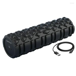 Dumbbells Vibrating Fitness Foam Roller Rechargeable Full Body Recovery Weight Lifting Lb Lbs Dumbbell Iron Dumbell Weighted