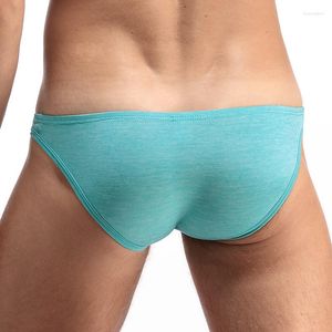 Underpants Men's Briefs Breathable Male Panties Cozy Man Soft Sexy Underwear Shorts Low Waist