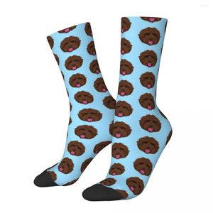 Men's Socks All Seasons Crew Stockings Chocolate Labradoodle Harajuku Hip Hop Long Accessories For Men Women Christmas Gifts