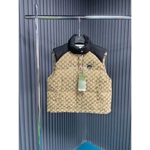 Piumino da uomo di design Gilet da donna invernale Tessuto di raso di nylon impermeabile Colletto in piedi di moda Gilet classico Piumino da lettera Canotta da uomo