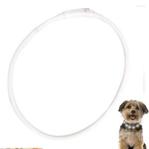 Coleiras para cães Luzes LED Recarregáveis Iluminam Brilho No Escuro À Prova D 'Água Brilhante Mais Brilhante Para A Noite