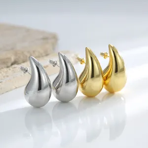 Fasion Luxury Backs Earrings Gold Drops Designer for Women Elegant Style Stud Temperament Ear Jewelry最高のギフトアクセサリー