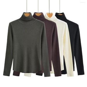 Kadın Sweaters solmuş çok renkli katı balıkçık örgü örgü üstleri İngiltere tarzı kadınlar