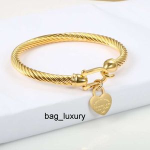 fashion luxury Cable Titanium Steel Bangle Wire Gold Color Love Heart Charm Bangle Bracelet With Hook Closure For Women Men Wedding Jewelry Gifts1