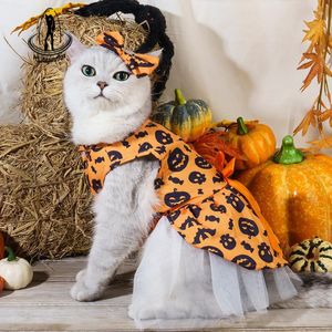 Trajes de gato Halloween Laranja Preto Moda Animais de Estimação Vestido Abóbora Bat Vestidos Traje para Cães Festa Gatos Cosplay