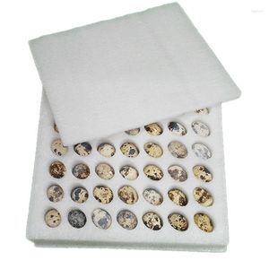 Gift Wrap Egg Storage Box Packaging Materials Packing Pallet Holder Tray EPE Foam 42 Holes Small Bird Quail Pigeon Eggs