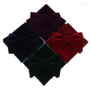 Bow Ties 10Pcs/Lot Velvet Brown Self Tie Pocket Squares Set Men Blue Bowtie Men's Wedding Green Handkerchiefs B020