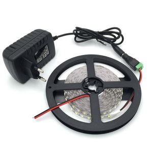 No-Waterproof LED Strip 300 lysdioder 5m 2835 Varm vit cool-vit röd gulgrön blå ljusremsor 12V2A Power Adapter EU US AU PL249D