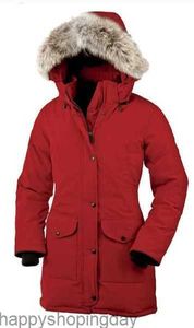 Cappotto in piumino d'oca Giacca invernale da donna Collo in vera pelliccia di lupo Con cappuccio Cappotti caldi e antivento per esterni con cappuccio rimovibile Parka da donna Xs-3xlhe1r