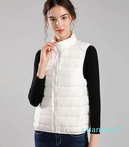 Light Thin Women's Short Standing Collar Thin Seamless One Piece Lightweight Coat Zipper Warm Fashion Autumn Winter Sweater
