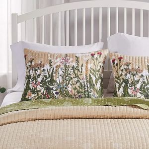 Almofada decorativa sham rei cinza personalizado travesseiro suculento almofadas de pátio plushies decorações para casa cama cunha dados fezes gato 231009