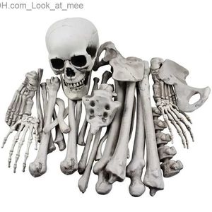 Andra evenemangsfest levererar 28 st skelettben med skalle konstgjorda realistiska skelettstaty för halloween skrämmande gravskikt markstångparti dekoration q231010