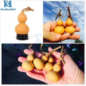 Decorative Flowers NuoNuoWell 10 Pcs-Pack Natural Dried Gourd 4-6CM Mini Cute Craft Home Decoration Beauty Paint Gift