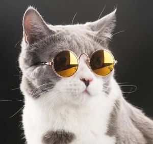 Óculos de sol da moda para animais de estimação, óculos de sol para gatos, cães pequenos, proteção para os olhos, filhotes, fotos, adereços, frete grátis