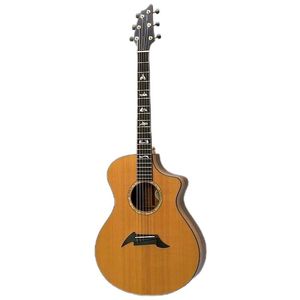 Master Class Northwest Classic Acoustic Electric Guitar