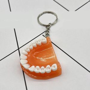 Keychains Tandnyckelkedja Harts Käkmodell Denture Keyring Keychain for Bags Charm Clinic 2023 Trending Kids