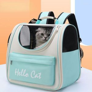 고양이 캐리어 패션 단순한 색상 대비 애완 동물 가방 공간 배낭 개