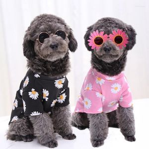 Vestuário para cães Chemise Chien Pour Roupas para Sphynx Hondenshirt Ropa Verano Perros Verão Manga Curta Cat Blusa Terno