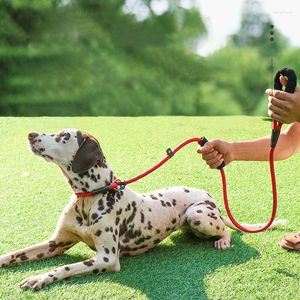 Dog Collars Reflective P Chain Large Leash Slip Collar Pet Walking Lead Explosion Proof Big Climbing Rope Comfortable Double Handle