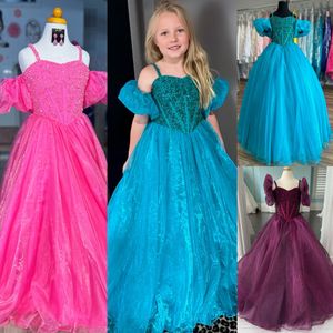 Iridescent Girl Pageant Dress 2024 Puff Sleeves Beading Organza Little Kid Fun Fashion Runway Drama Cocktail Gown Toddler Teen Preteen Miss Sherri Magenta Teal Pink