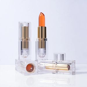 Lipstick 4G Private Lable Lip Balm مخصصة متغيرة للألوان مختلفة لون أحمر الشفاه ترطيب مكياج الشفاه غير المتقنة الرطوبة 231011