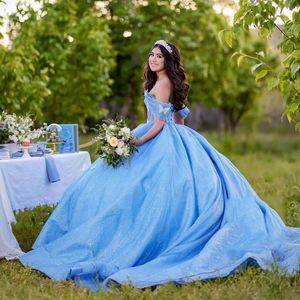 Sky Blue Shiny Sweetheart Princess Quinceanera Dress Ball Sukni