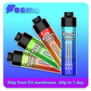 Fast shipping disposable vape box Feemo Cannon vapor set 0.5ohm big cloud vaping as vape mod 18ml capacity 10 flavors vaporizer with wholesale price