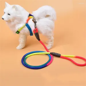 Hundehalsbänder, Artefakt zum Gehen, sicher und zuverlässig, farbenfrohes Design, langlebig, bequem zu verwenden, gut für das Training, Nylongürtel