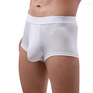 Cuecas masculinas sexy malha pura algodão antibacteriano roupa interior masculino lado aberto bolso boxers respirável conforto boxer shorts lingerie
