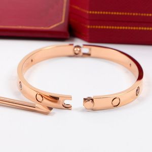 Luxur Design Titanium Steel Horisontell linjeskruvkärlek Bangle Kvinnor, skruvmejselskruvarmband, Pulseira Feminina Gratis frakt