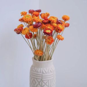 Dekorative Blumen, 40 Stück, natürliche getrocknete Gänseblümchen, Hochzeit, Danksagung, Heimdekoration, DIY-Arrangement, Geschenk für Freundin und Mutter