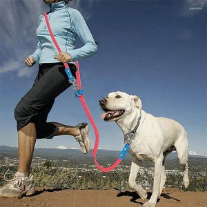 Hundehalsbänder 2,1 m wasserdichte PVC-Leine Welpen-Doppelkopfleinen Zwei große verstellbare lange kurze Haustier-Walking-Trainingsleine