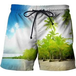 Men's Shorts Sea Nature Scenery 3D Printed Short Pant Swimsuit Men Swimming Trunks Beachwear Cool Boys Kids Beach Sports Pant225w